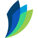 CGEM